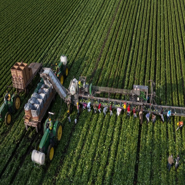 Global Agriculture Loan